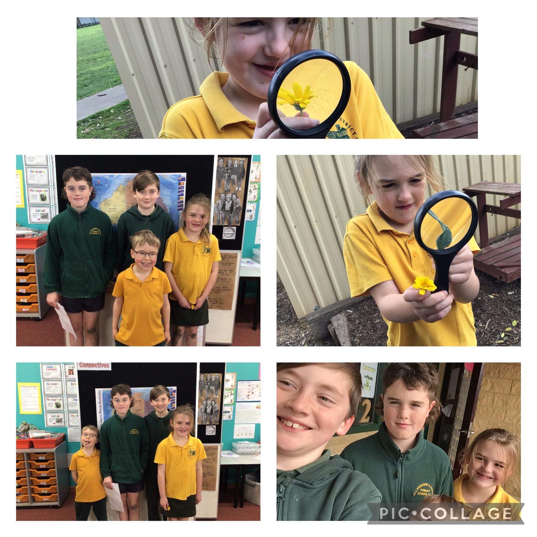 /uploaded_files/media/gallery/1661938087IMG_6168 2.JPG